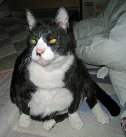 2010.4.21-004.jpg
